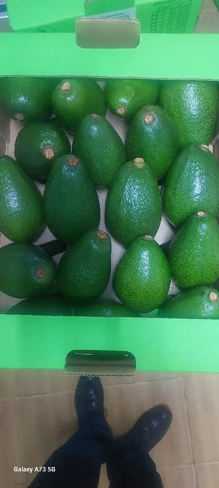 Certified Organic