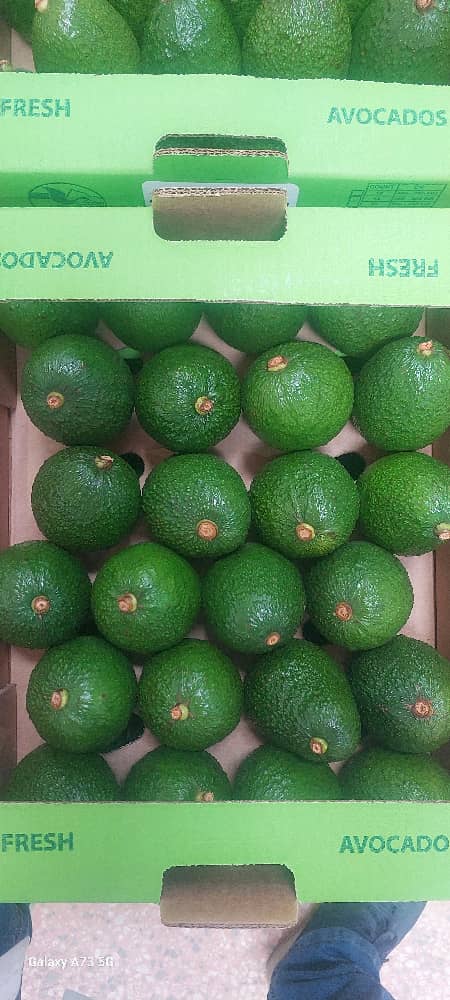 Export Quality