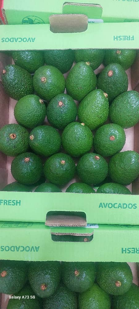Fresh Batch