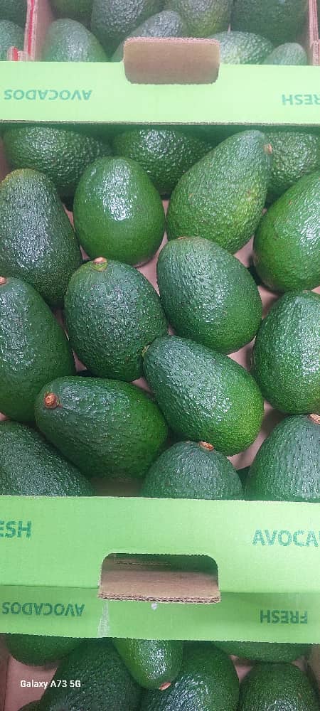 Fruitline Farms