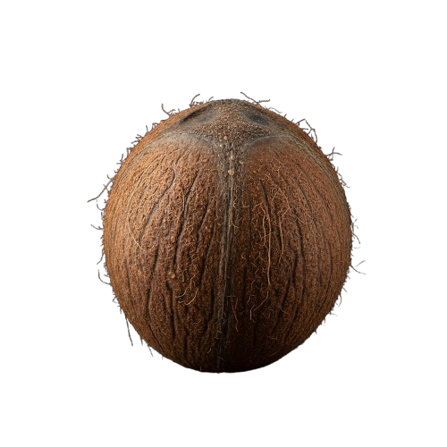 Fresh Coconuts