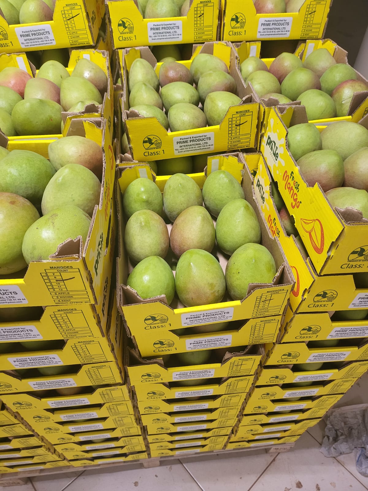 Premium Mangoes