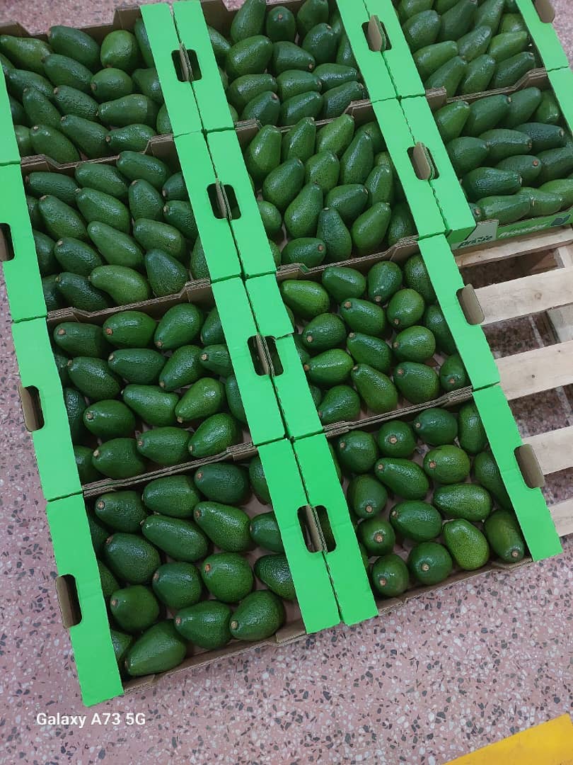 Fruitline Facility