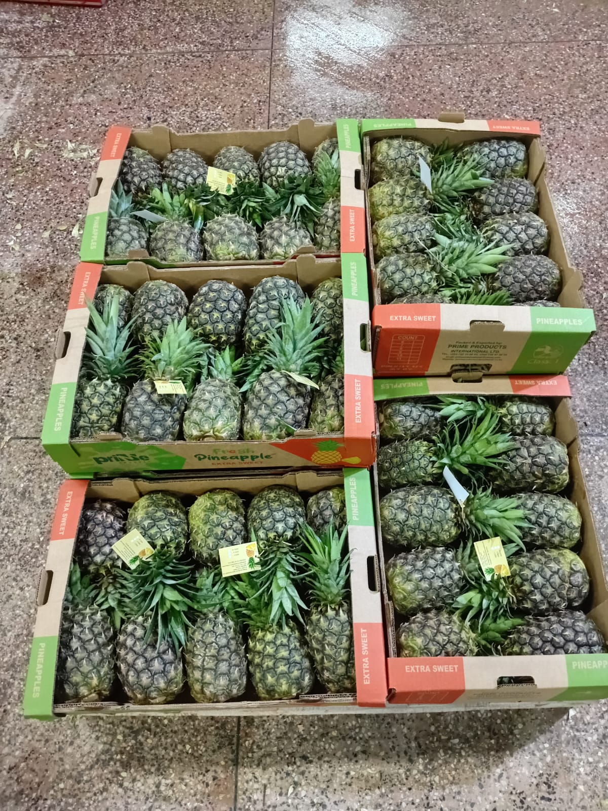 Ready for Export
