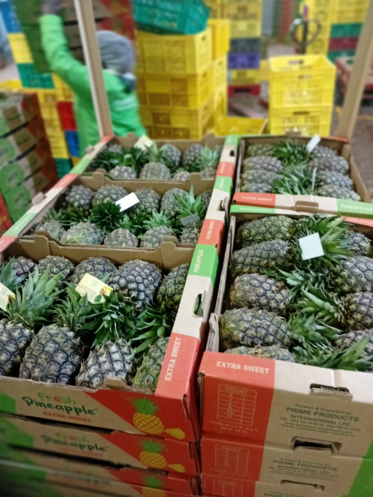 Packaging Line