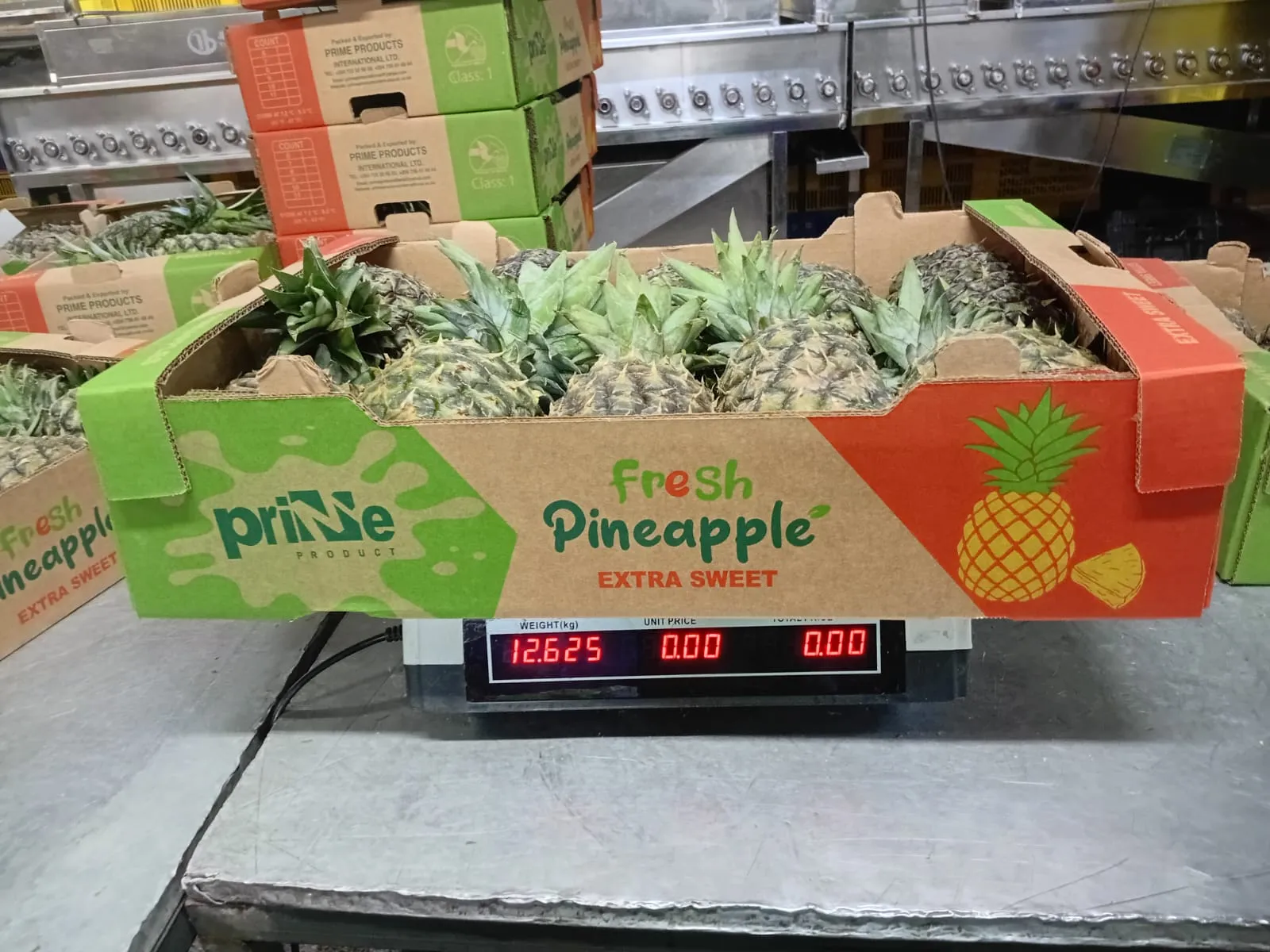 Precision Weighing